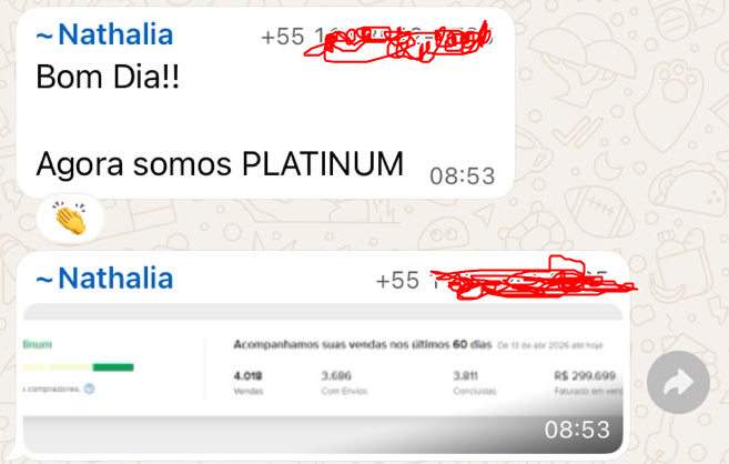 Print da conversa com a seller Nathalia comemorando reputação Platinum e receita escalada